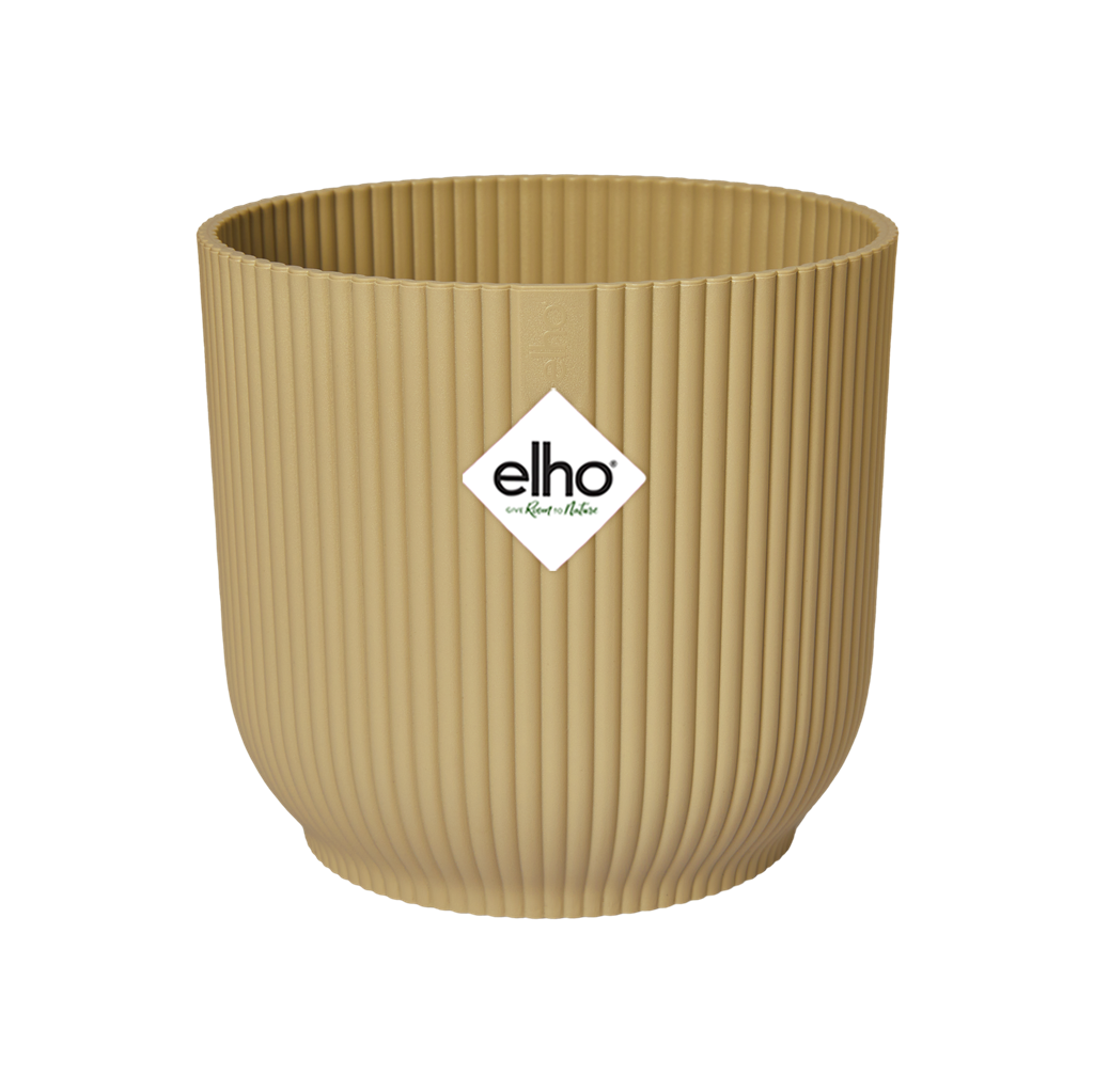 ELH-077 - 0